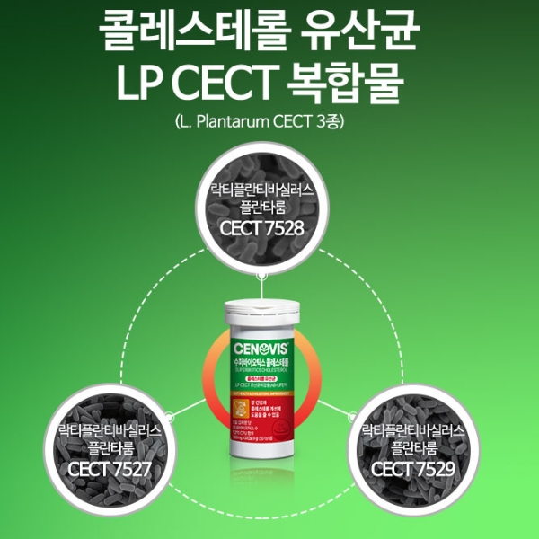 세노비스.jpg