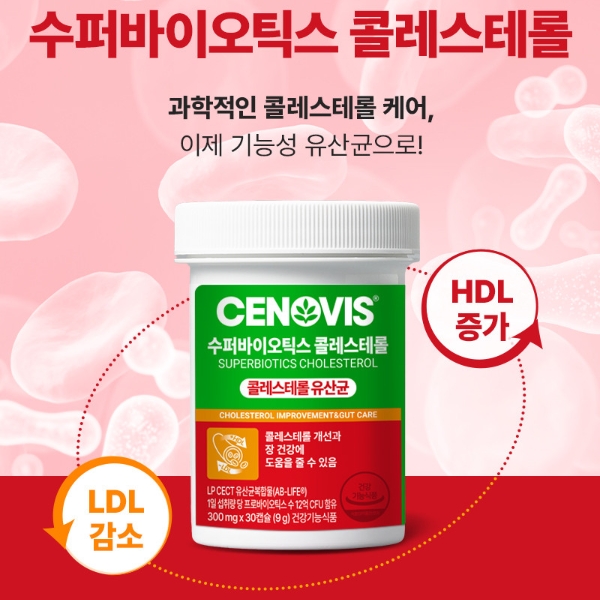 세노비스.jpg